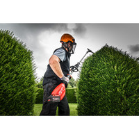 Trimmen und Säubern