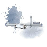 Pneumatische Antriebe / Zylinder
